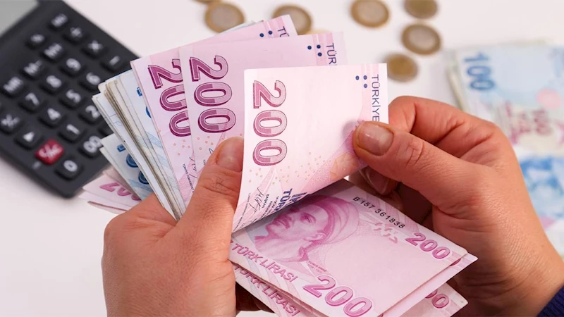 Sosyal ve Ekonomik Destek ödemeleri yatırıldı