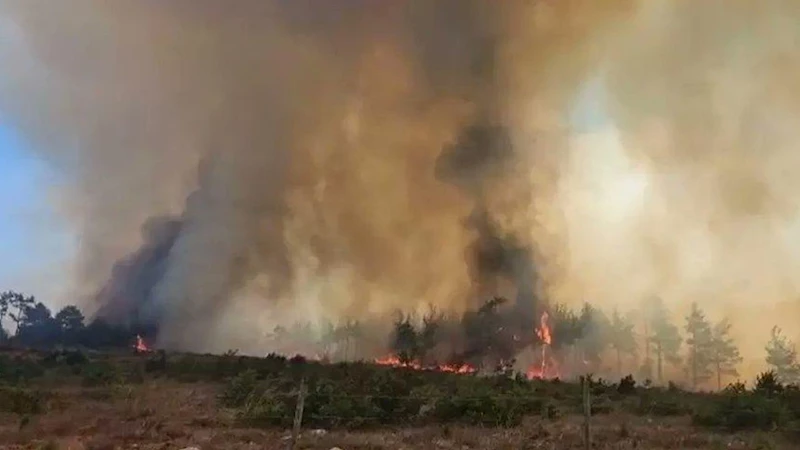Kastamonu’da orman yangınlarıyla mücadele sürüyor